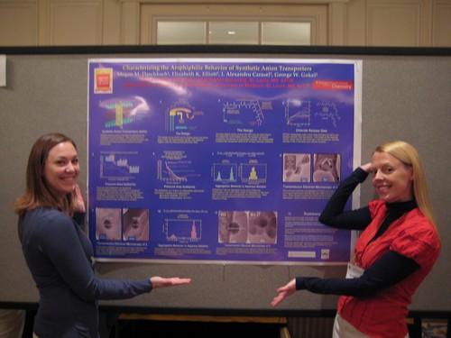 put a good photo description in here